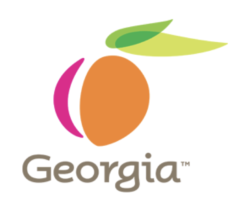 Georgia Procurement Manual